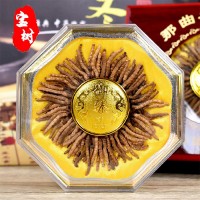 西藏那曲網紅小蟲草 西藏冬蟲夏草100條裝一盒 產地直供 量大價優(yōu)