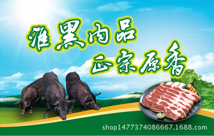 未標(biāo)題-1_01