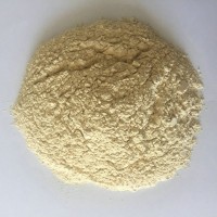 萬齊飼料 小麥次粉 小麥谷蛋白粉 植物飼料原料 濱州飼料廠家供應(yīng)
