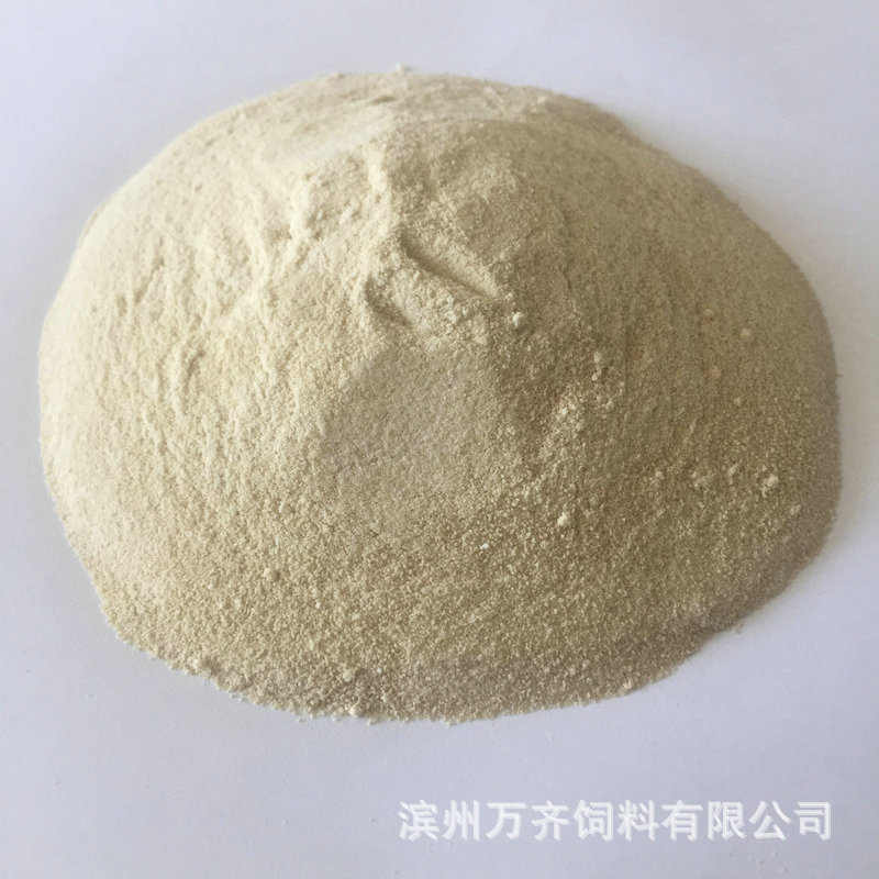 小麥蛋白粉_1