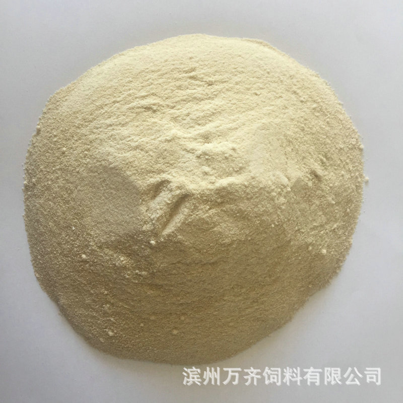小麥蛋白粉2_1
