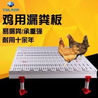 雞用漏糞板 塑料漏糞板 現(xiàn)貨供應 復合材料家禽用養(yǎng)殖設備