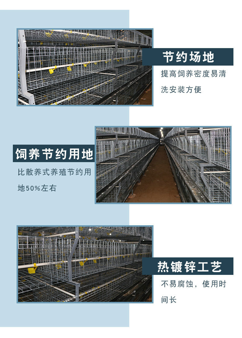 肉雞籠細節(jié)