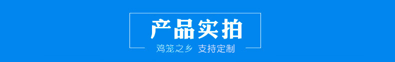 實拍