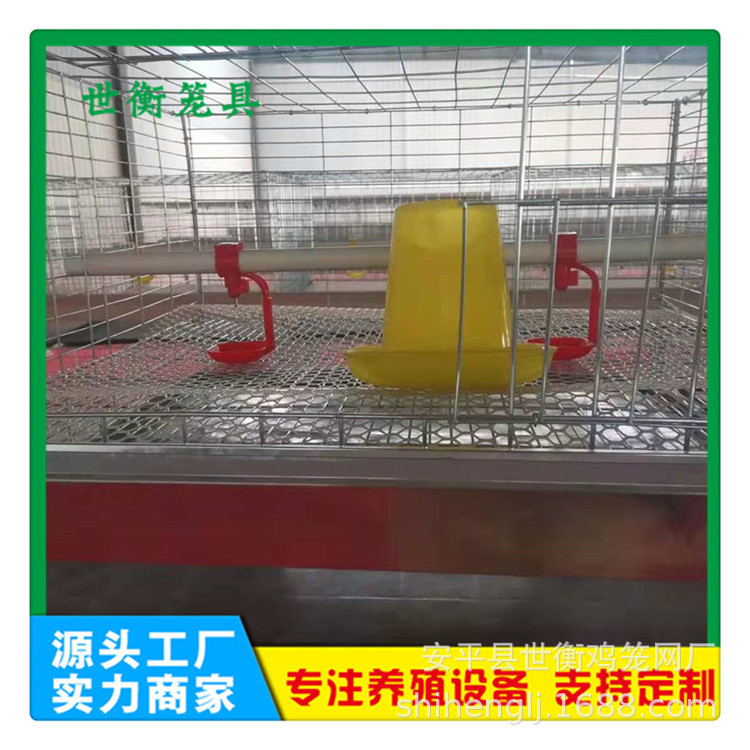 小雞籠籠門