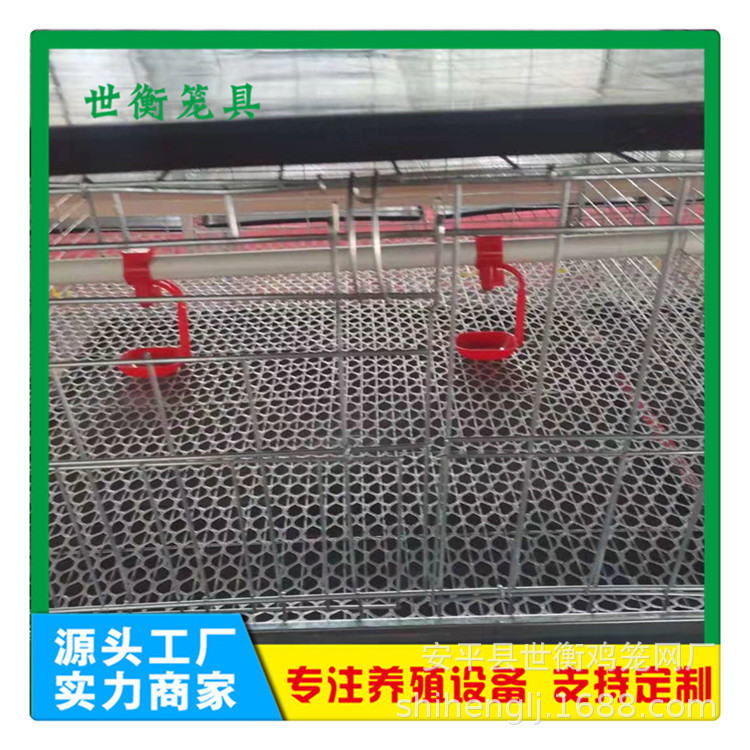 小雞籠2