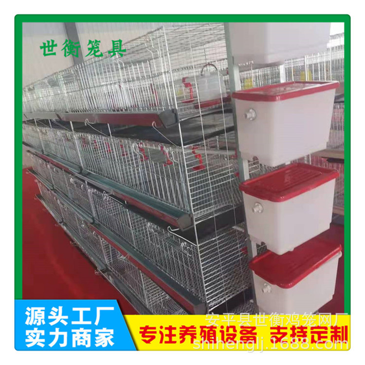 小雞籠水箱