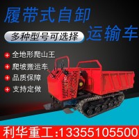 自卸料搬運(yùn)車糧食稻田運(yùn)輸1噸手扶履帶運(yùn)輸車全地形爬山虎