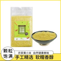 日頓黃小米香糯黏稠真空五谷雜糧 小黃米早餐煮粥 家庭食用小米粥