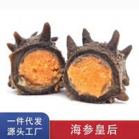 工廠直供 大連六排刺即食海參帶籽參母刺參500g禮盒 大連即食海參