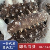 【海參工廠直發(fā)】大連遼參小頭即食海參20-30頭 遼刺參即食海參