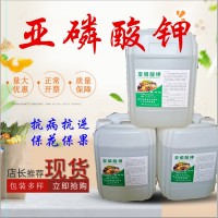 供應(yīng)亞磷酸鉀 高磷高鉀葉面肥亞磷酸鉀原粉 全水溶農(nóng)業(yè)用亞磷酸鉀