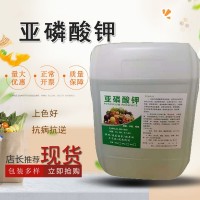 現(xiàn)貨供應(yīng)緩沖劑原液亞磷酸鉀 控梢?；ü~面水溶肥亞磷酸鉀