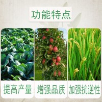 正品磷酸二氫鉀葉面肥料純度高磷鉀化肥果樹蔬菜溶解好易吸收增產(chǎn)