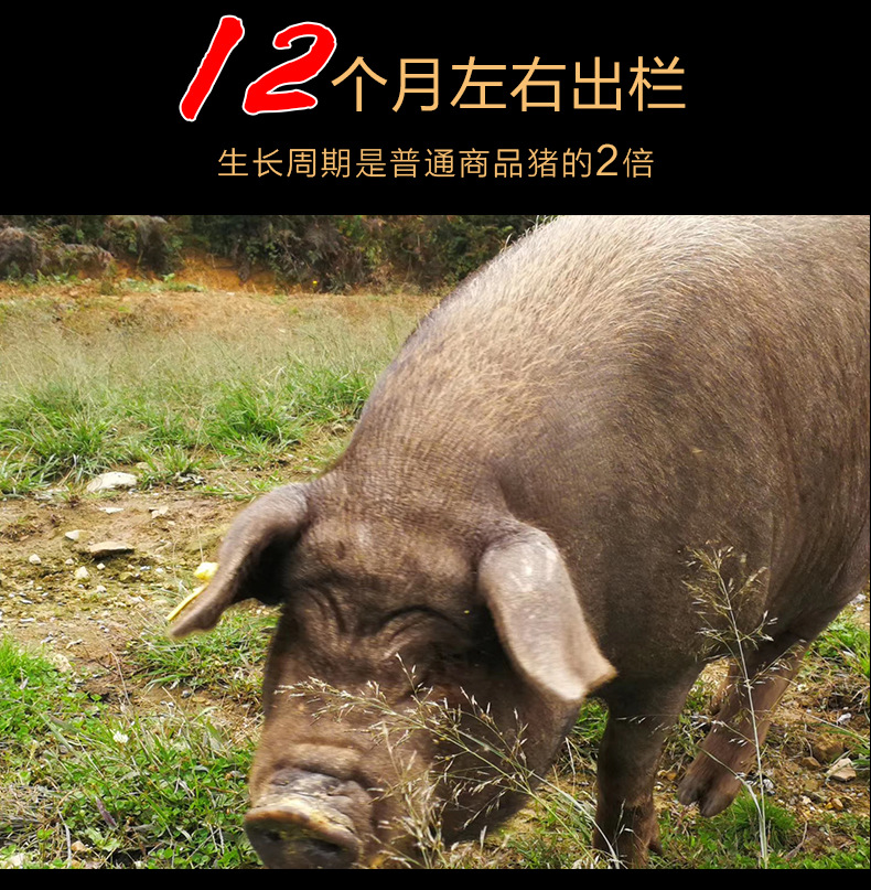 臘肉詳情頁(yè)-后腿肉_10.jpg