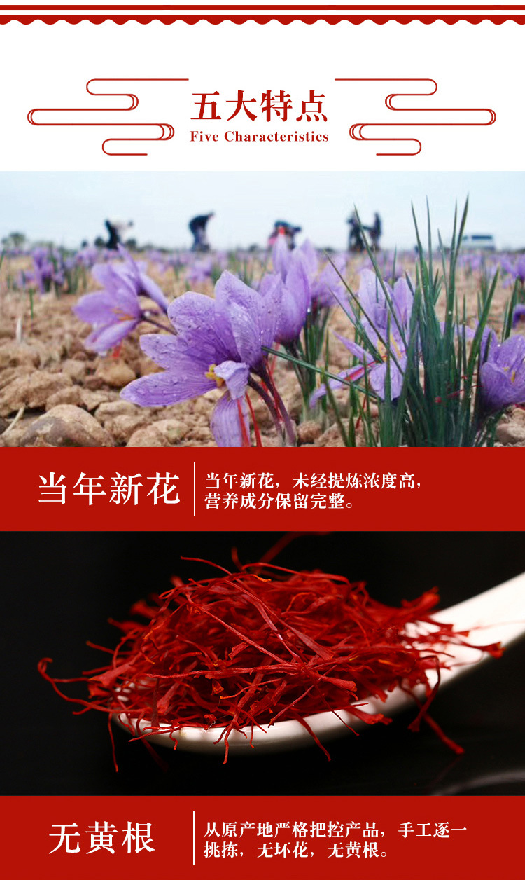藏紅花_08.jpg