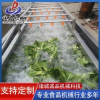 全自動(dòng)果蔬氣泡清洗機(jī) 商用洗菜洗水果設(shè)備 大型車?yán)遄訖阎榍逑礄C(jī)