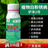 白粉銹病鏟凈2號農(nóng)藥殺菌劑 辣椒西瓜甜瓜黃瓜草莓白粉病專用藥