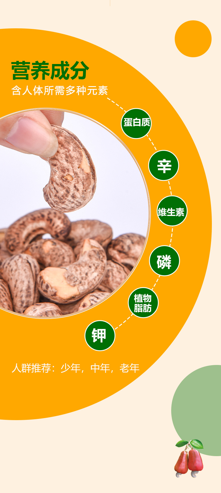 腰果精選_07