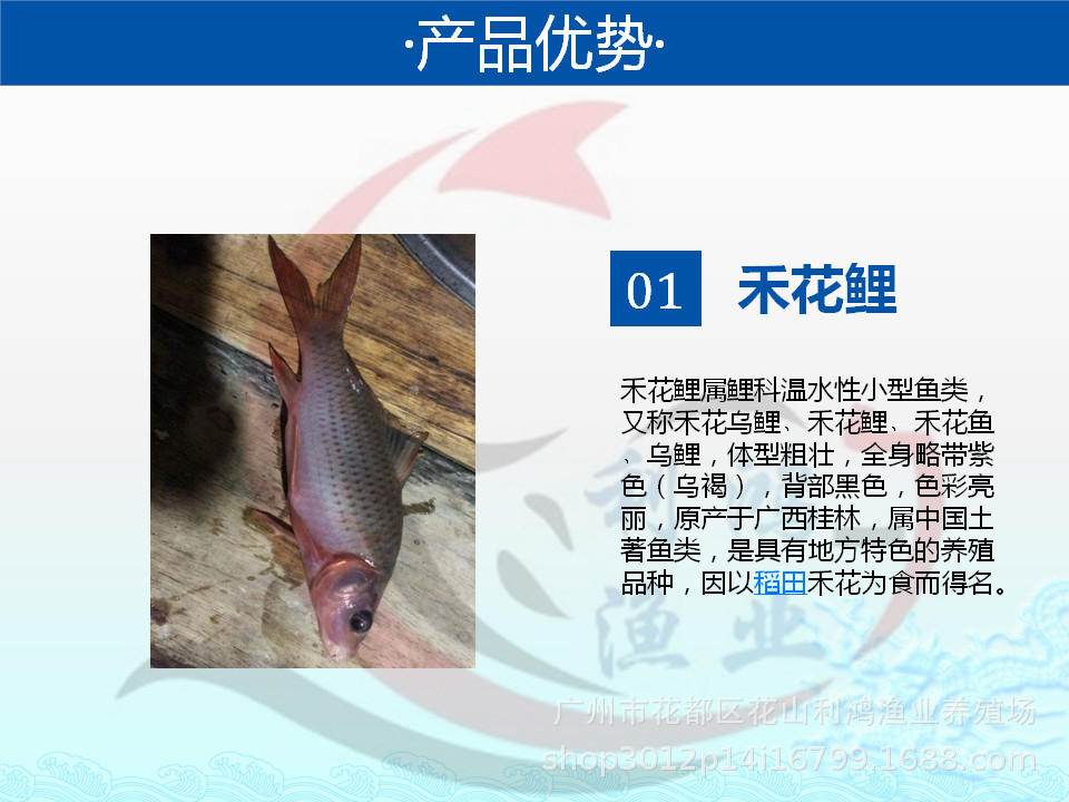 幻燈片17