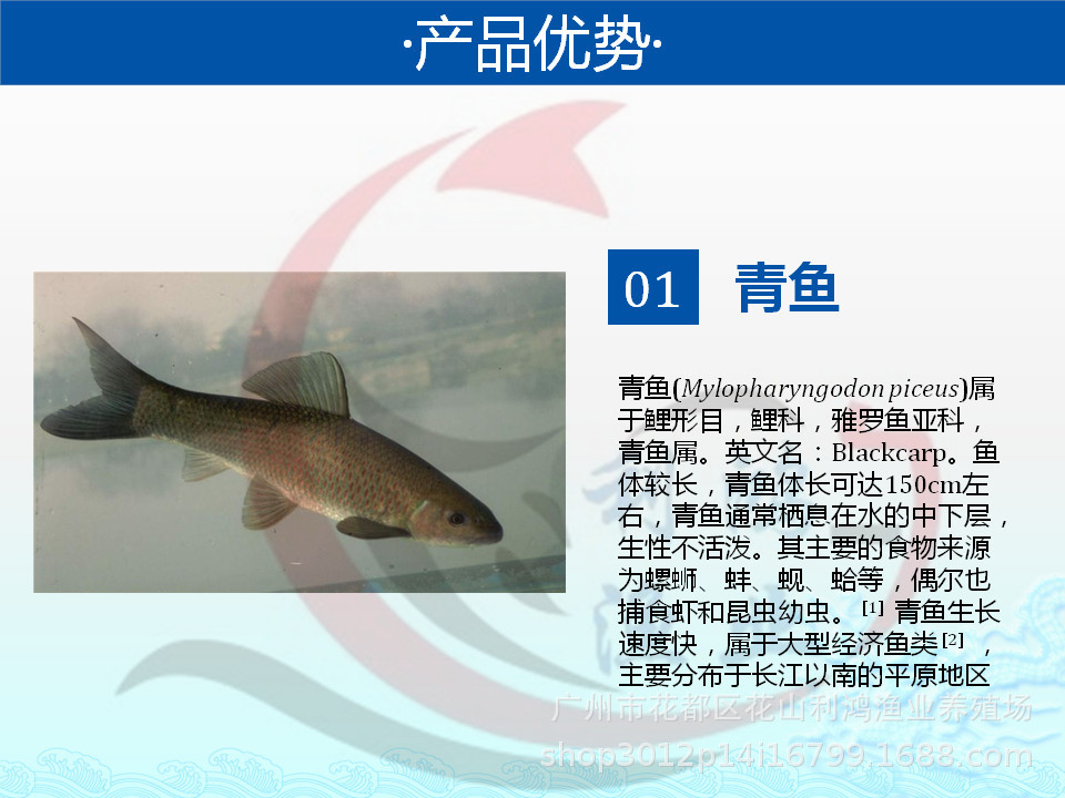 幻燈片26