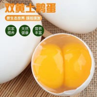鵝蛋土新鮮農(nóng)家散養(yǎng)鵝蛋當現(xiàn)新鮮大去孕婦批發(fā)個12裝跨境廠家批發(fā)