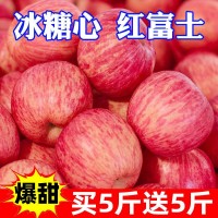 冰糖心蘋果新鮮丑現(xiàn)摘新鮮水果1/5/10斤批發(fā)價跨境獨立站速賣通