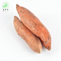 廠家批發(fā)地瓜紅薯 新鮮五谷雜糧 番薯類地瓜紅薯 整箱裝