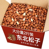 東北原味開口大顆粒松子新貨500g散裝手剝紅松年貨零食堅果大開口