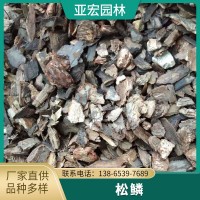 發(fā)酵松樹皮蘭花鐵皮石斛月季多肉栽培松樹皮基質(zhì)園林裝飾廠家直銷
