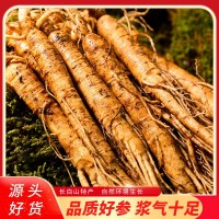 長白山新鮮人參整支帶土鮮參500g散裝批發(fā)現(xiàn)貨圓參煲湯泡酒代發(fā)