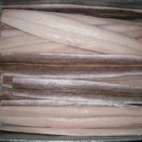 供應(yīng) 廠家直銷 長期大量加工海鰻片,美鰩片,孔鰩片,黃舒魚