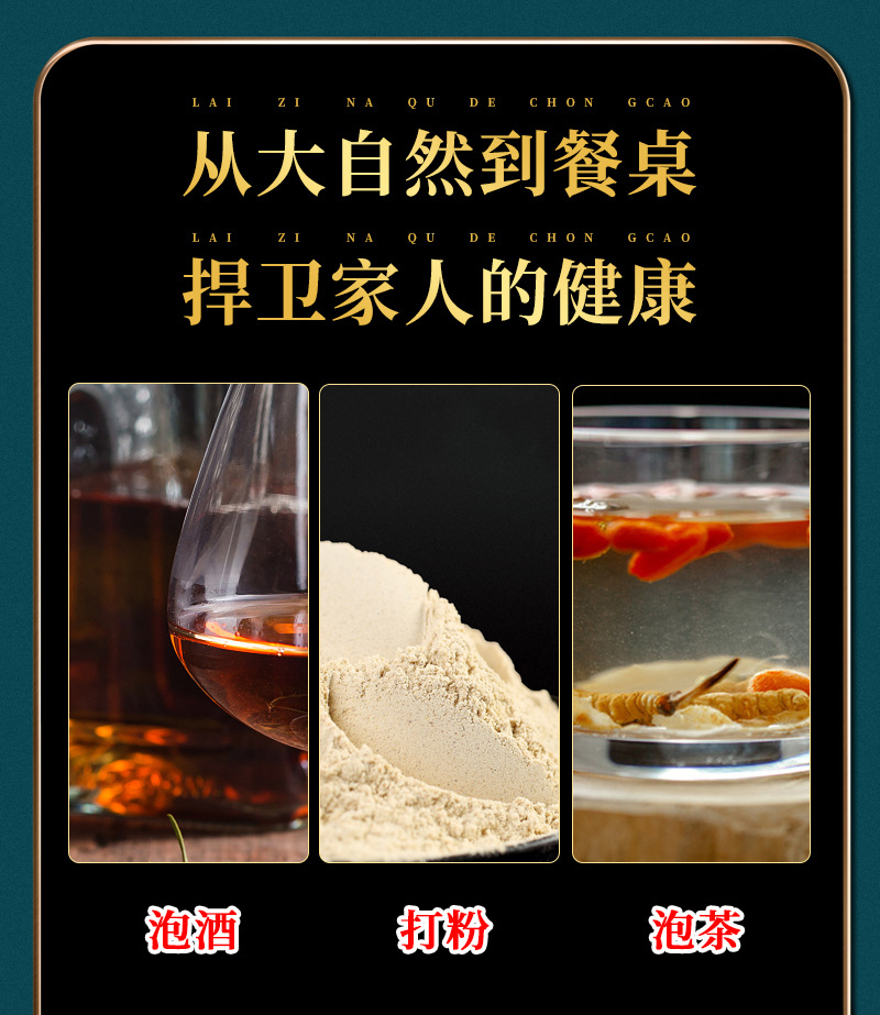 2020_12_01蟲草_11.jpg