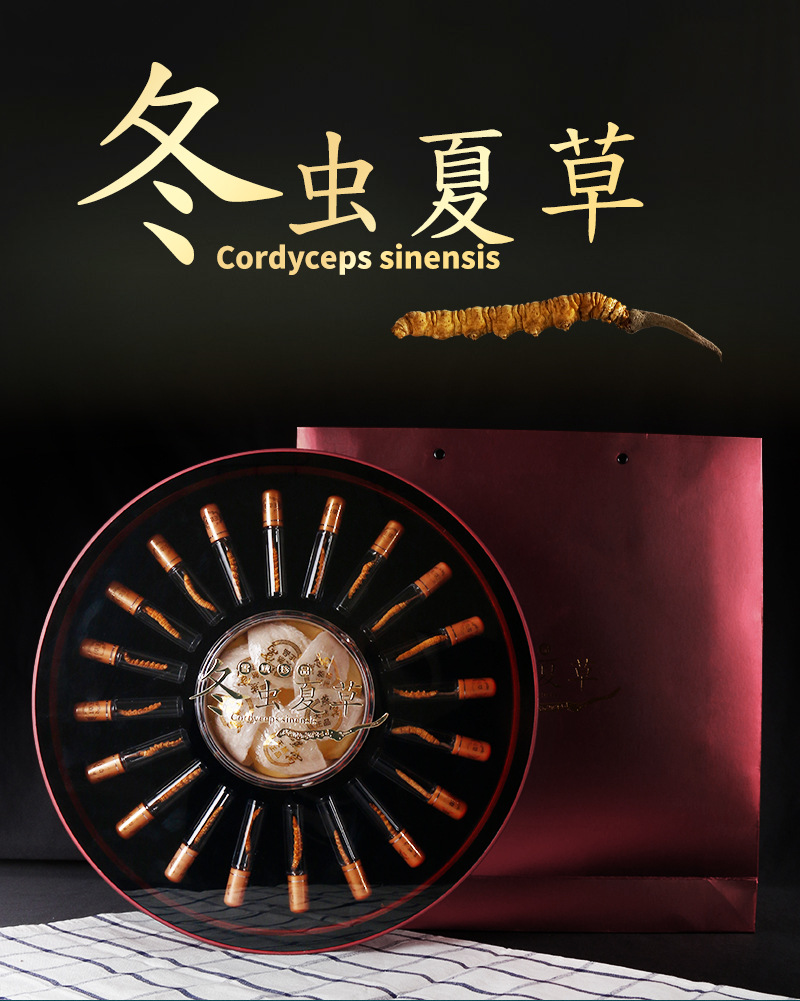 2020_12_01蟲草_01.jpg