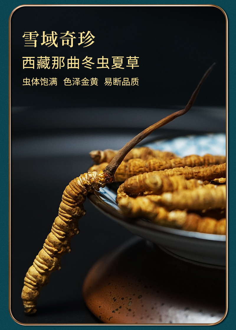 2020_12_01蟲草_04.jpg