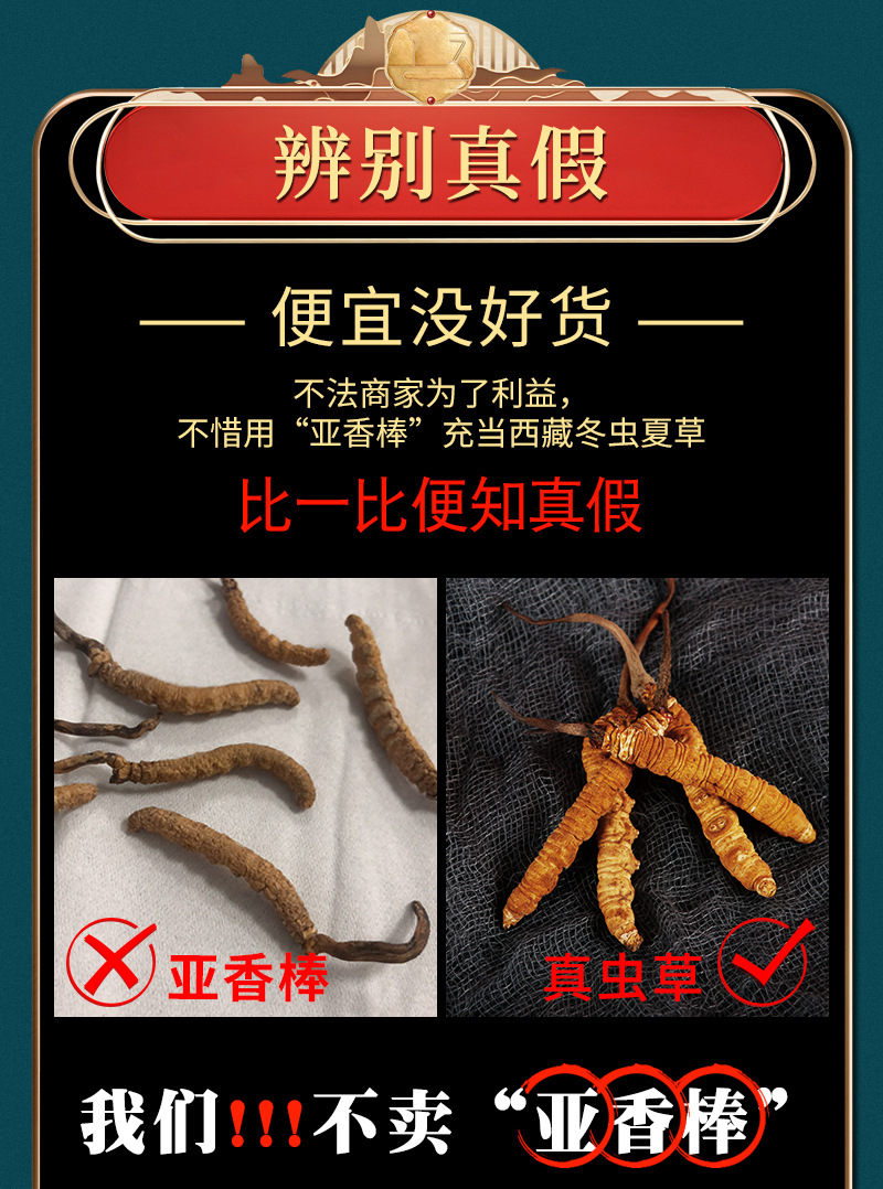 2020_12_01蟲草_07.jpg