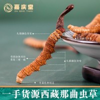 那曲產冬蟲夏草 產地直收實體看貨 蟲草滋補品批發(fā)代發(fā)非青海
