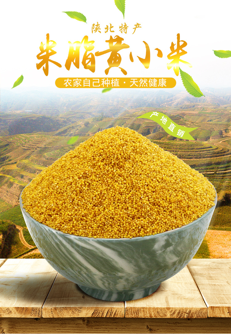 黃小米詳情頁_01