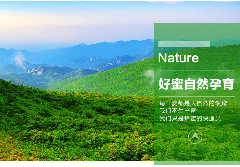 圓瓶洋槐蜂蜜_r5_c1.jpg