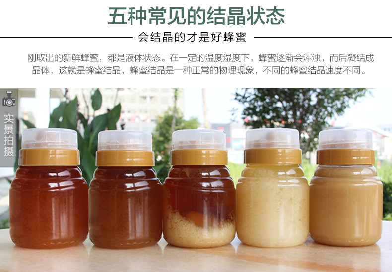 圓瓶洋槐蜂蜜_r11_c1.jpg