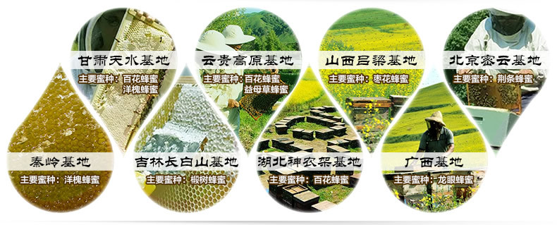 圓瓶洋槐蜂蜜_r17_c1.jpg