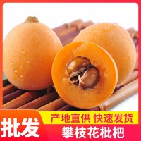 現(xiàn)貨攀枝花米易枇杷新鮮大果四川早鐘甜琵琶孕婦水果當(dāng)季新鮮水果