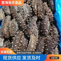 廠家貨源好口感 新鮮海參即食海參干貨刺參干參發(fā)貨及時(shí) 批發(fā)