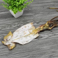 一箱20斤微咸魷魚干干貨500g克海鮮魷魚片干大魷魚