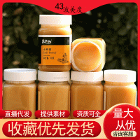 結(jié)晶細(xì)膩蜂蜜批發(fā) 農(nóng)家土特產(chǎn)抖音代發(fā)土蜂蜜500克結(jié)晶蜜廠家蜜糖