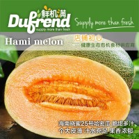 海南哈密瓜西州 新鮮蜜瓜孕婦水果新鮮包郵9斤當季整箱網(wǎng)紋瓜應(yīng)季