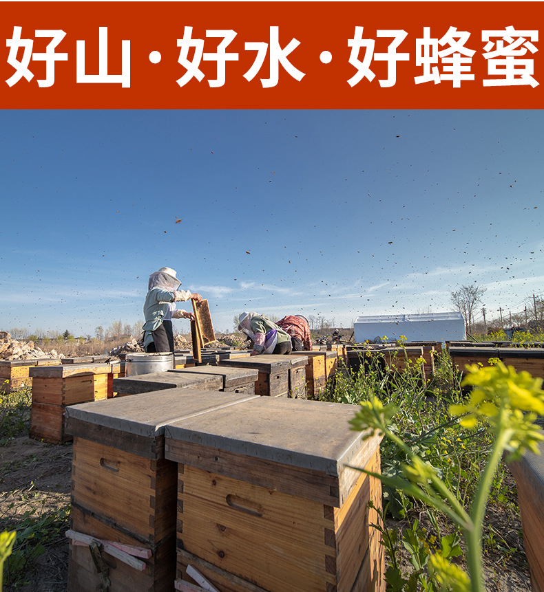 詳情