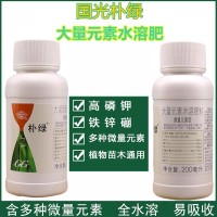 國光樸綠 植物黃化高磷鉀全水溶肥料含微量元素鐵肥鋅硼肥葉面肥