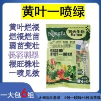 黃葉一噴綠 蔬菜瓜果藥材葉面肥農(nóng)夫生物廠家供應(yīng)批發(fā) 腐植酸