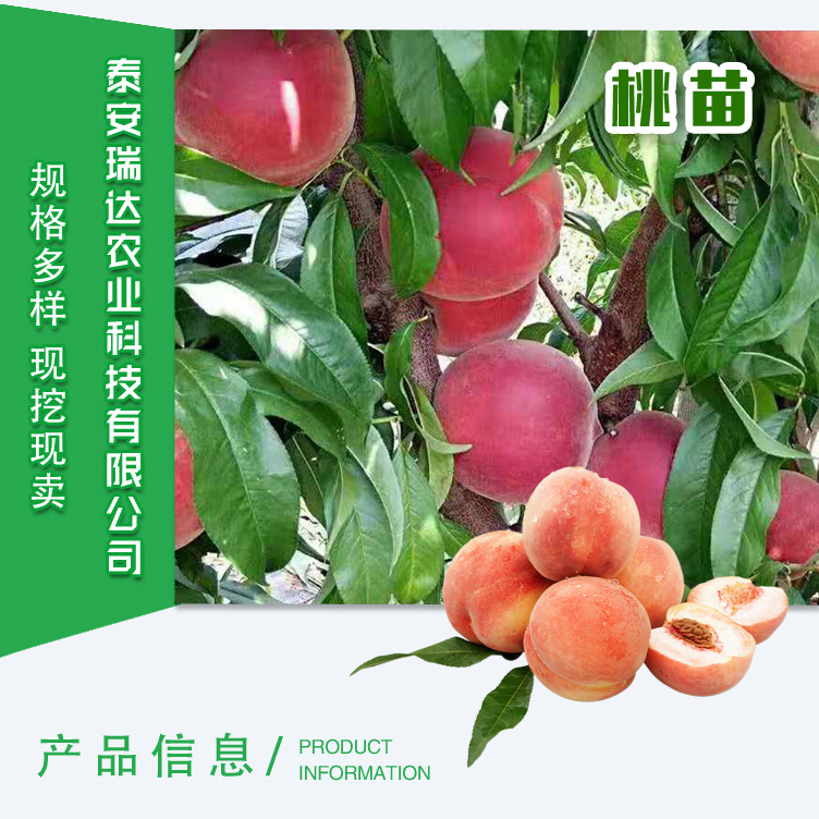 桃-詳情頁_01.jpg